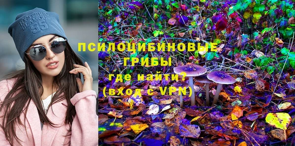 индика Аркадак