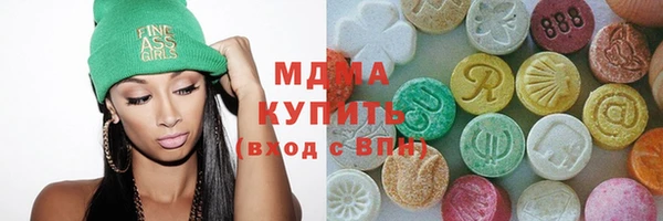 индика Аркадак