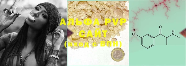индика Аркадак