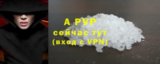 индика Аркадак