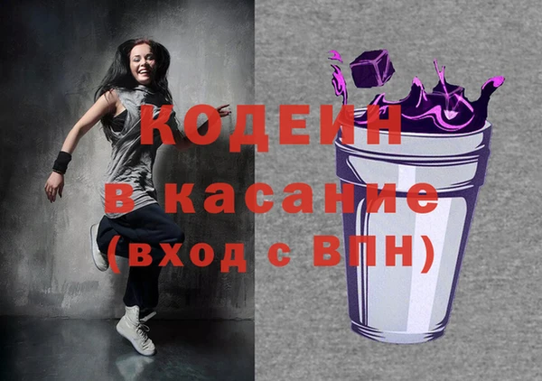 индика Аркадак
