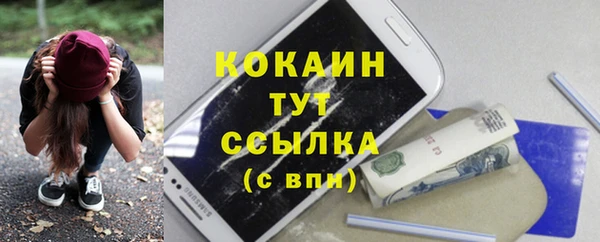 индика Аркадак
