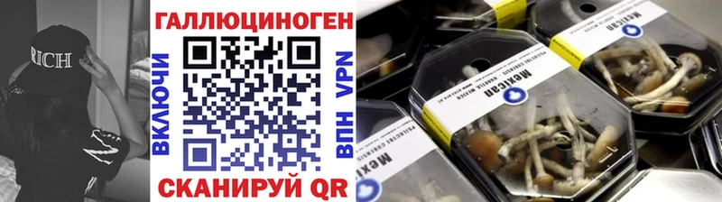 omg как войти  Пятигорск  Псилоцибиновые грибы Psilocybine cubensis 